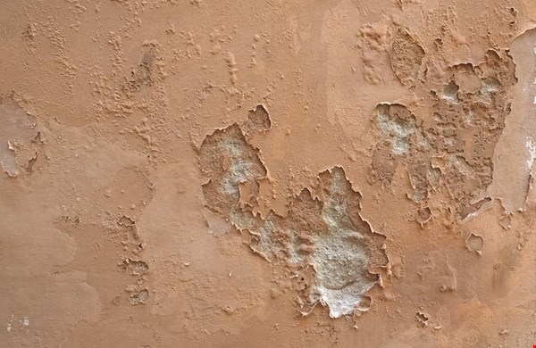 Wat te doen bij vocht in de muur? Een praktische gids